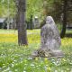 20150417img_6828