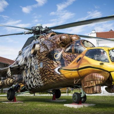 Golden Hind, Csőrike harci helikopterek