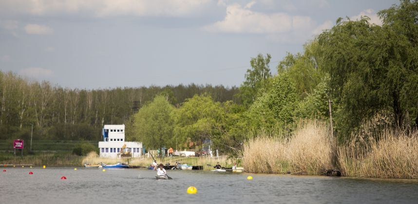 Alcsi Holt-Tisza