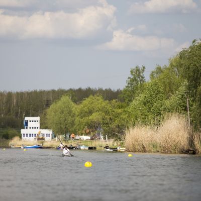 Alcsi Holt-Tisza