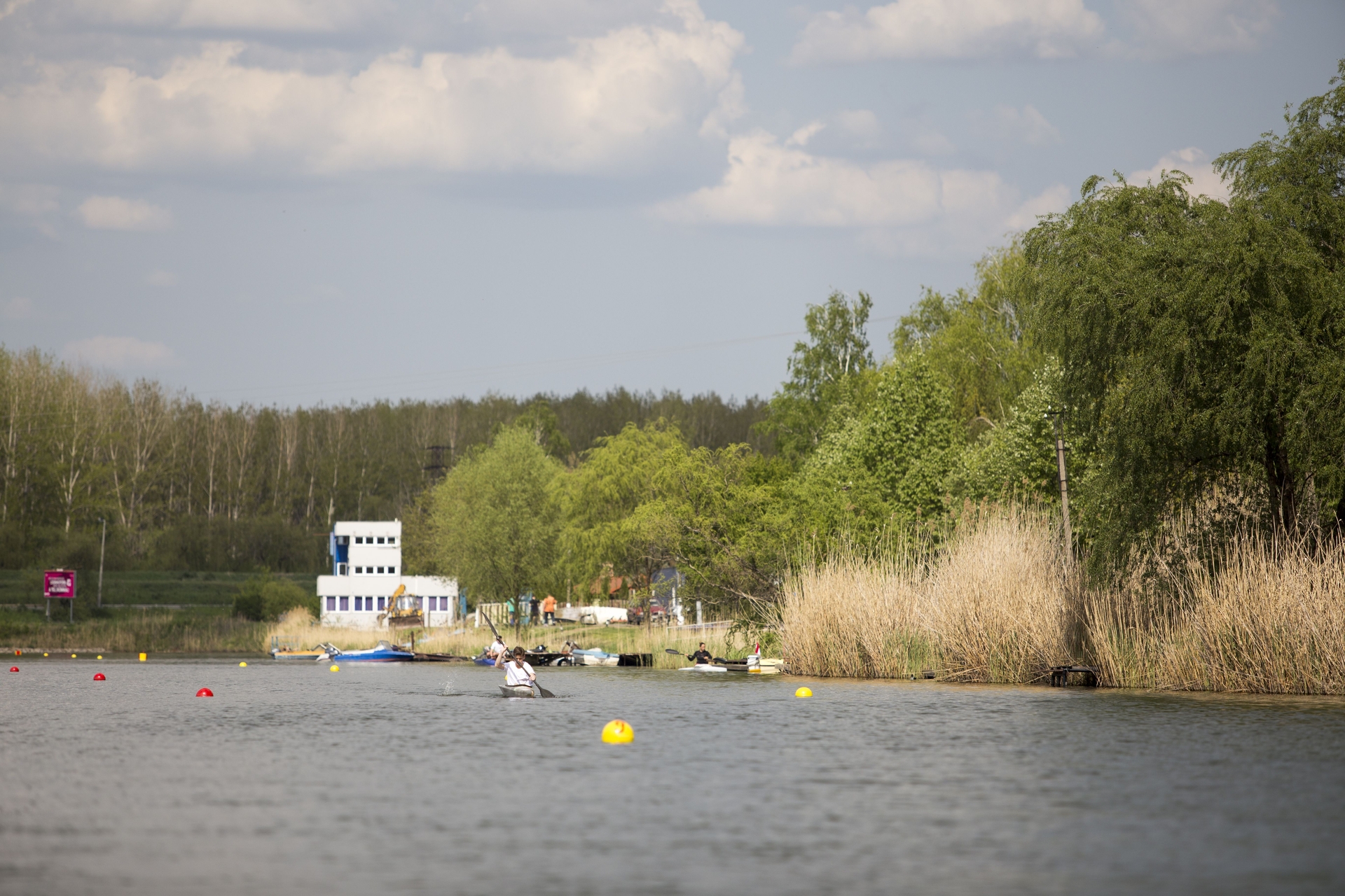 Alcsi Holt-Tisza